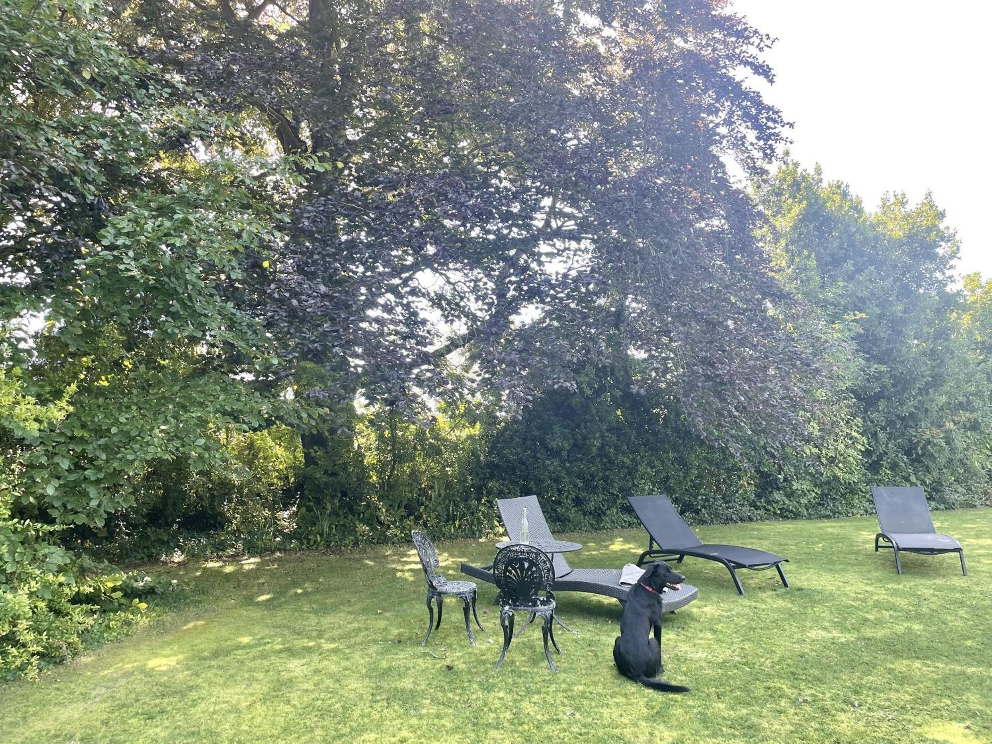 The Mount Somerton Retreat - Nr Bruton, Glastonbury, The Spectacular Wells Cathedral, Millfield School, Leonardo Helicopters, Yeovilton Exterior photo